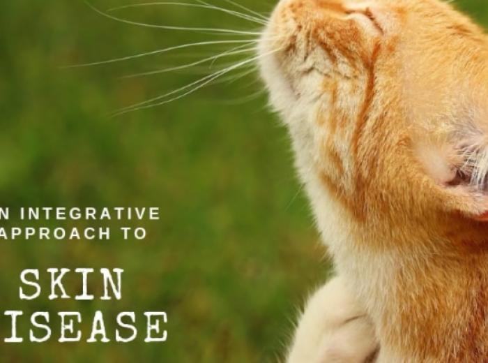 An Integrative Approach to Skin Disease