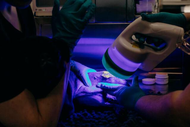 Laser Surgery