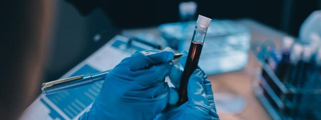 Dog Lab Work