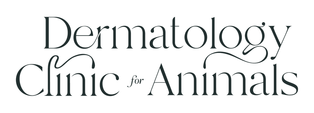 Dermatology Clinic for Animals
